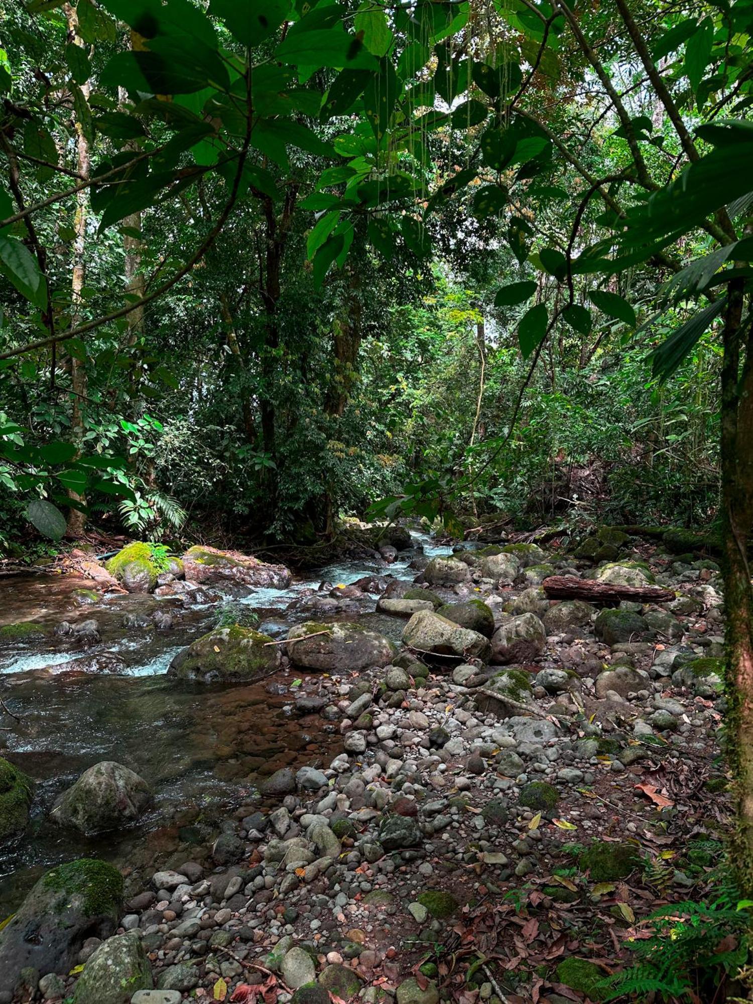 Cabanas Rio Escondido En La Fortuna Luaran gambar