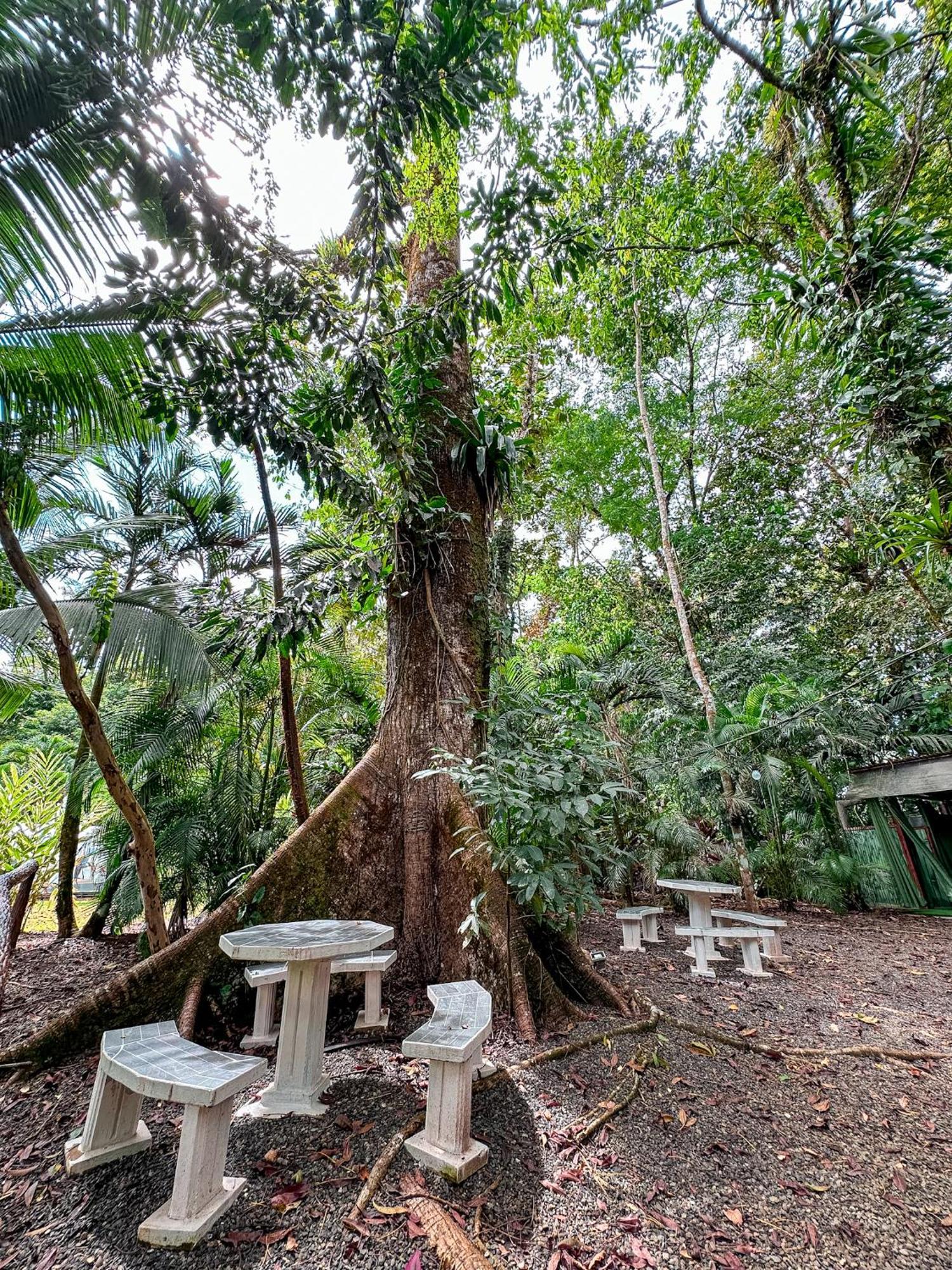 Cabanas Rio Escondido En La Fortuna Luaran gambar