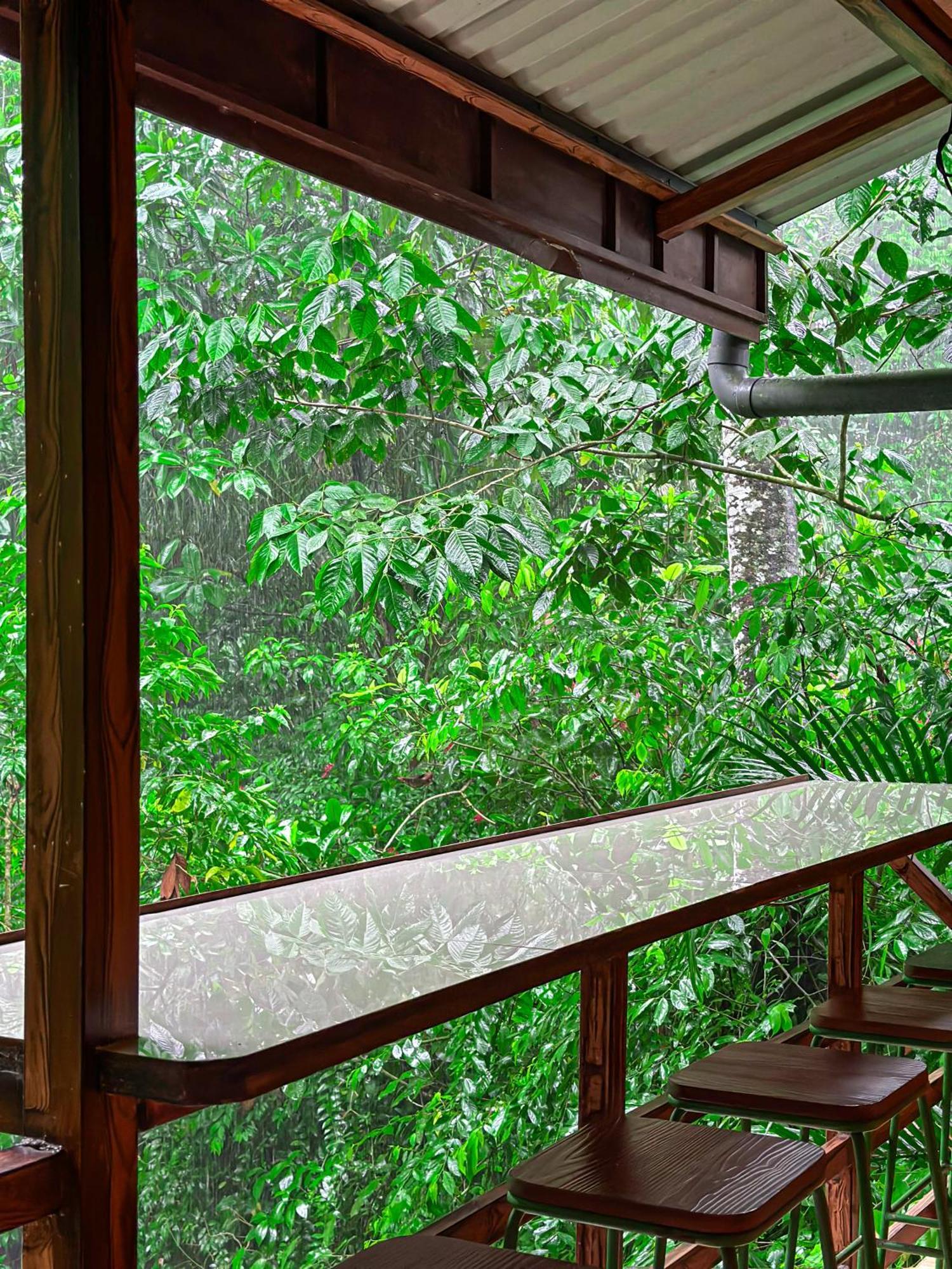 Cabanas Rio Escondido En La Fortuna Luaran gambar